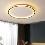 Modern ceiling light - room light
