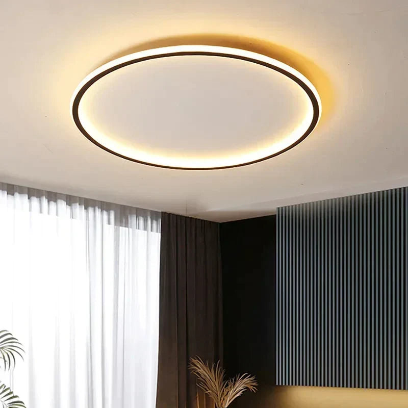 Modern ceiling light - room light