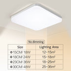 Natural Space Slim LED Ceiling Light