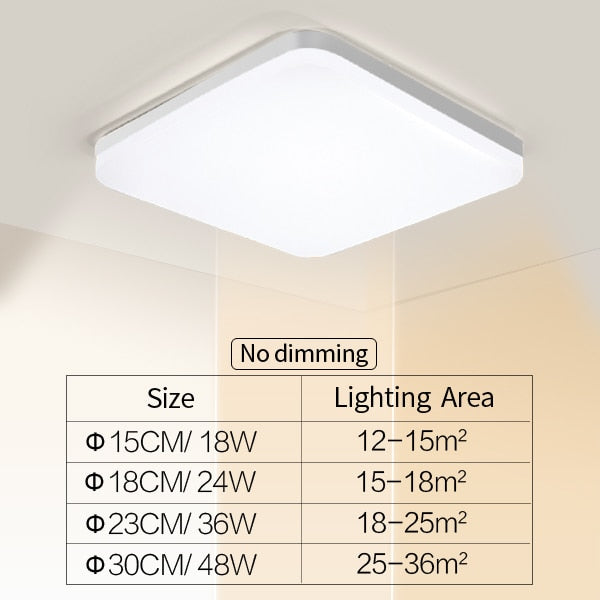 Natural Space Slim LED Ceiling Light