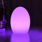 RGB ABS egg-shaped LED Decorative Table Lamp