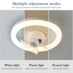 Ceiling fan light