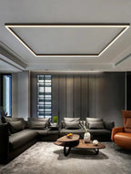 Multifunctional ceiling lamps with robust construction