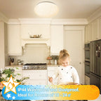 24W LED Ceiling Light dimmable with starry sky effect