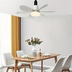 Ceiling fan