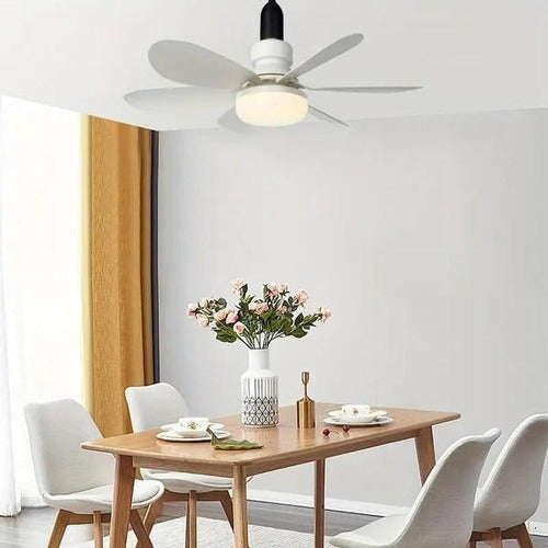 Ceiling fan