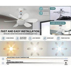 Ceiling fan