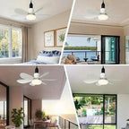 Ceiling fan