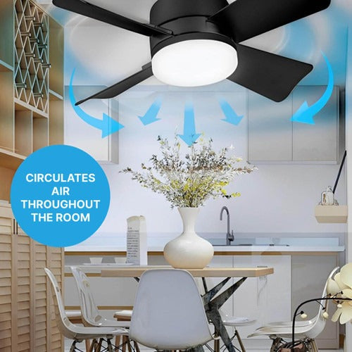Ceiling fan