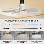 Ceiling fan