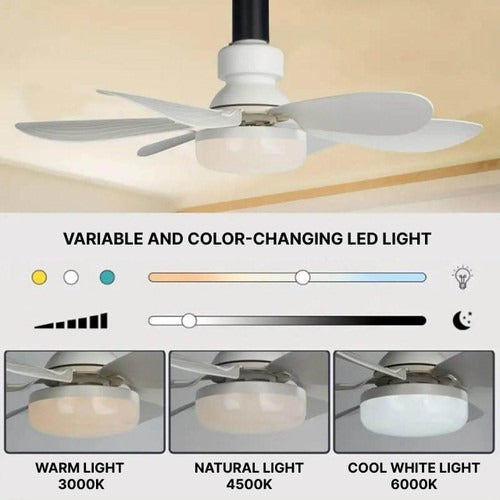 Ceiling fan