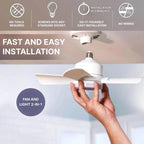 Ceiling fan