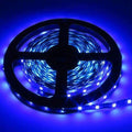 3528 LED Strips Light 12V 5M 300 Leds - Make sure the detail is perfect