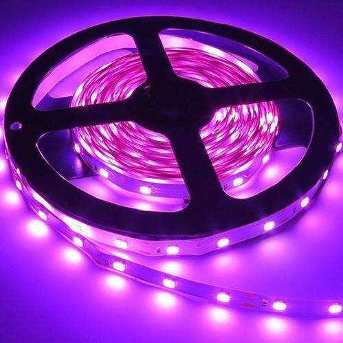 3528 LED Strips Light 12V 5M 300 Leds - Make sure the detail is perfect