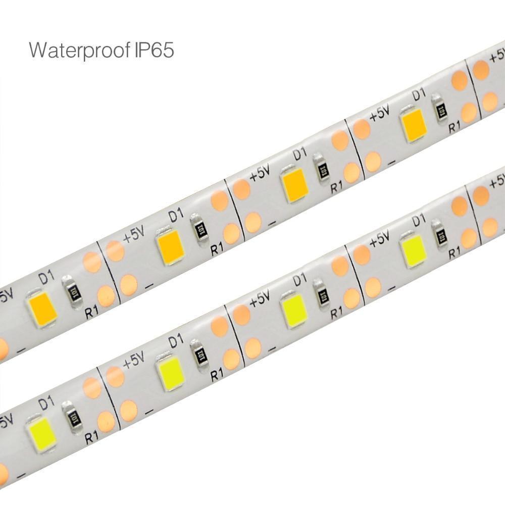 Motion sensor LED strip light