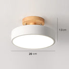 Colorful Nordic LED Ceiling Light