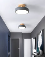 Colorful Nordic LED Ceiling Light